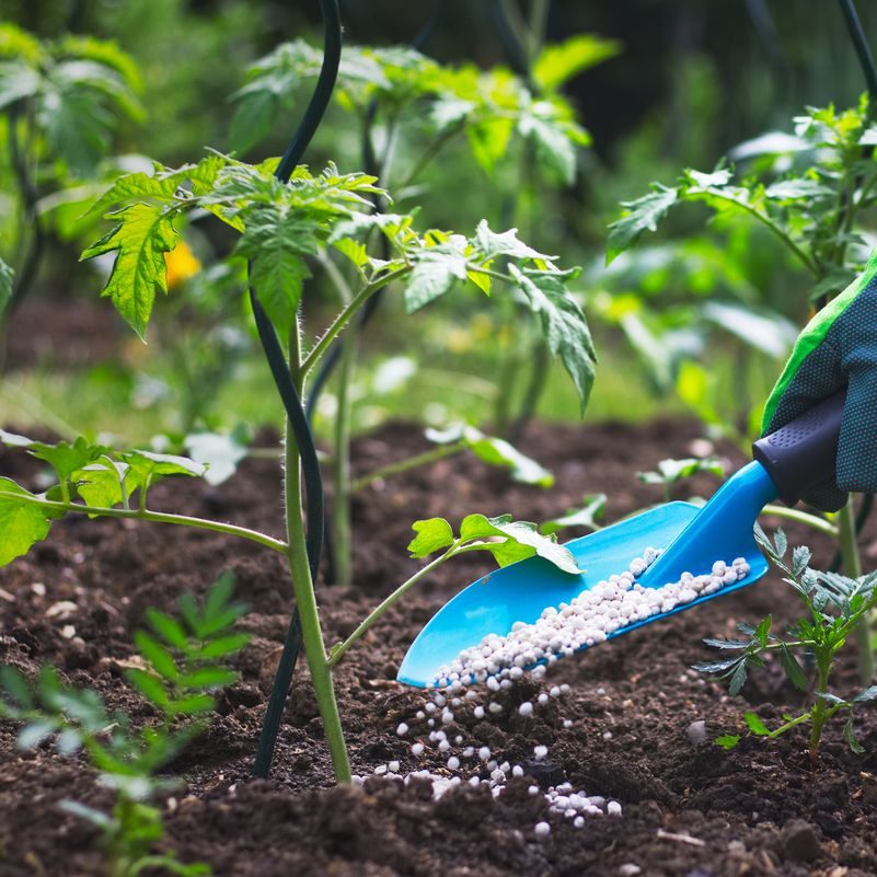 Garden Fertiliser - 10 kg