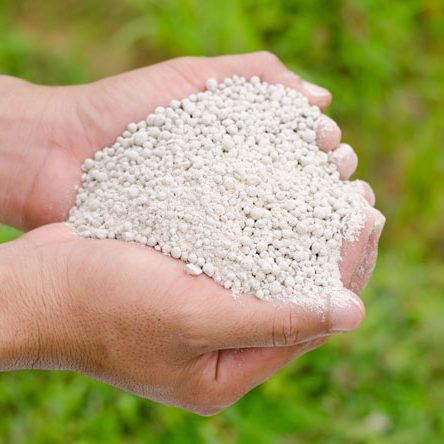Lawn Fertiliser - 10 kg