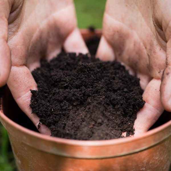 Potting Mix - 30 L
